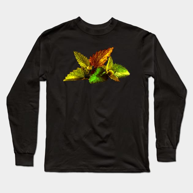 Jewel Foliage Long Sleeve T-Shirt by mindprintz